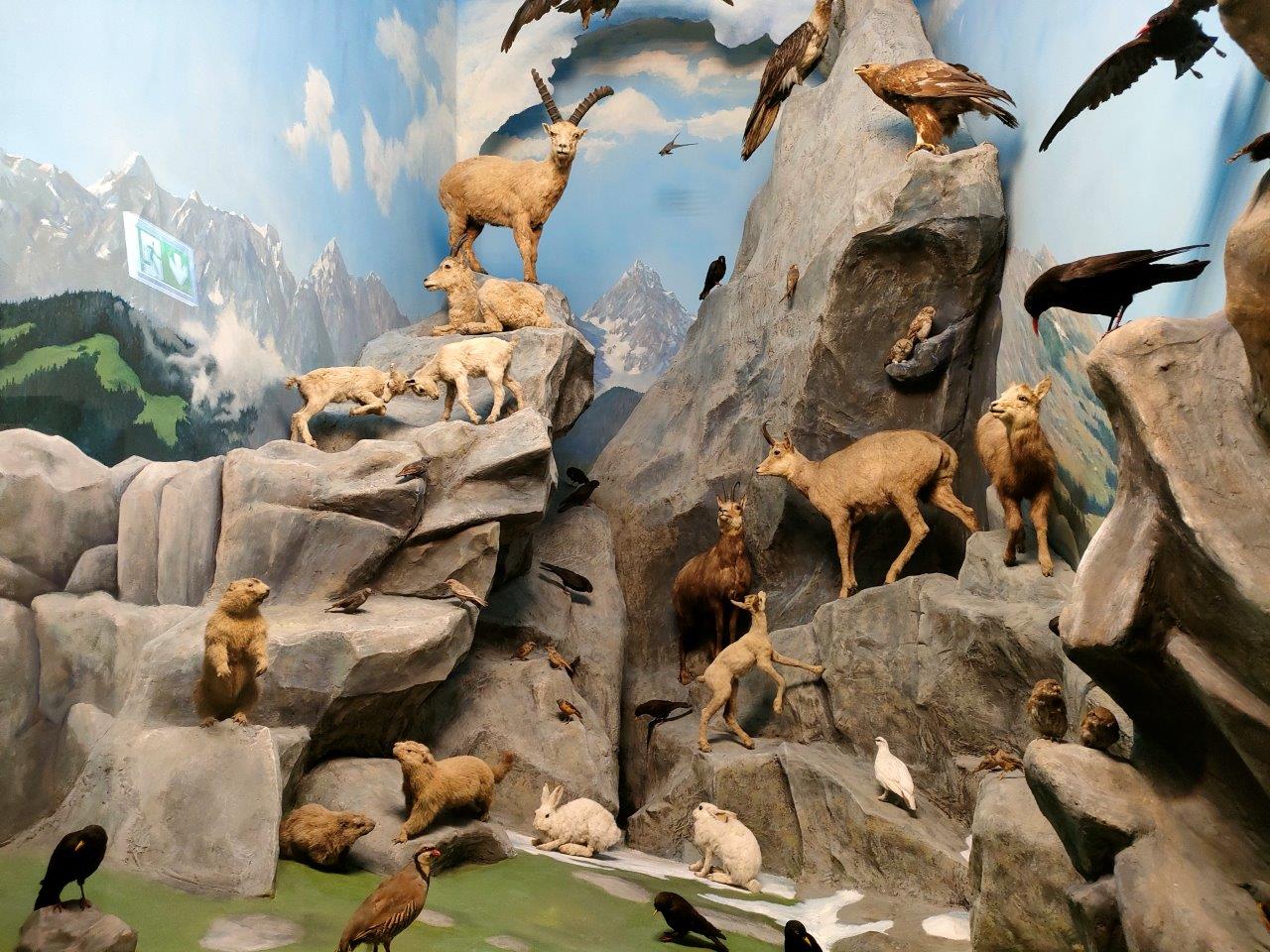 Landesmuseum Darmstadt