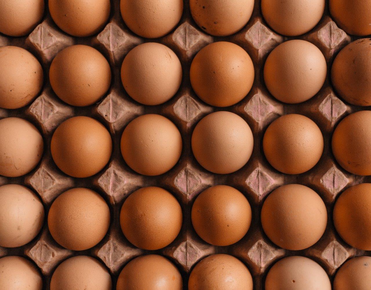 Eggs in German supermarkets