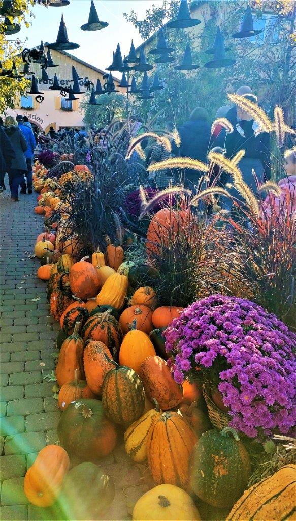 Pumpkin Fest Darmstadt