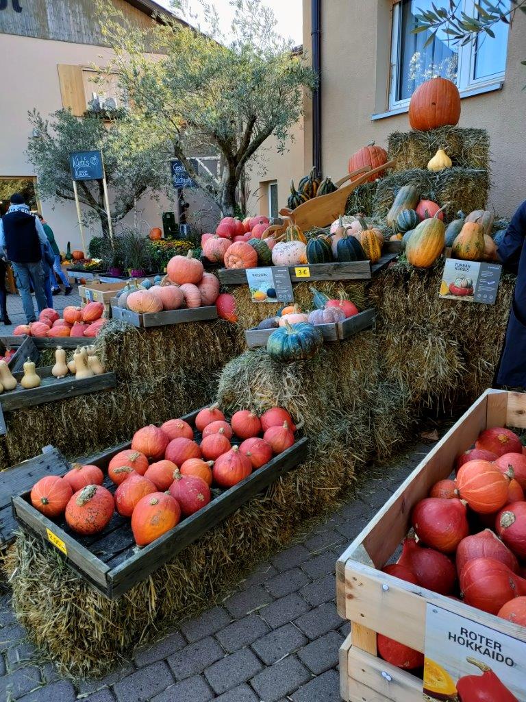 Pumpkin Fest Darmstadt